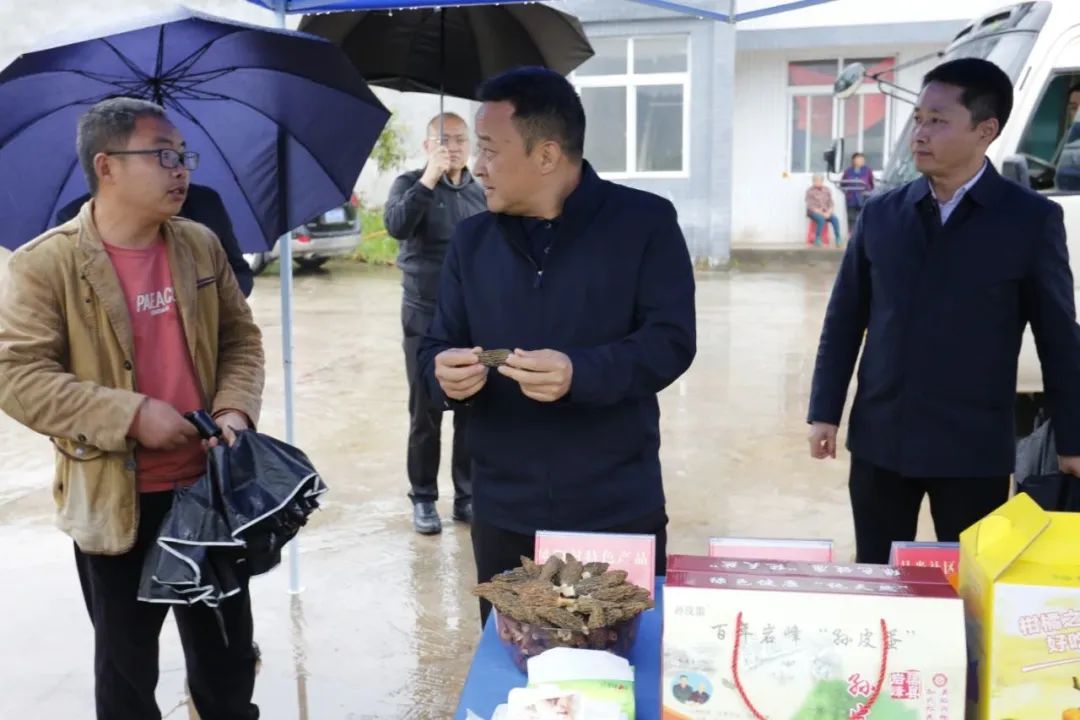 江彬到渠县调研“一村一项目·党建引振兴”等工作